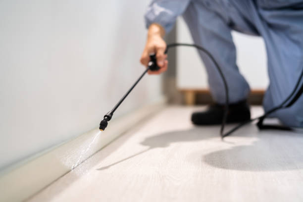 Bed Bug Pre-Treatment Preparation Assessment in Ashland