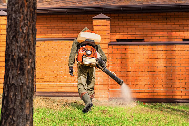 Bed Bug Clearance Verification and Documentation in Ashland
